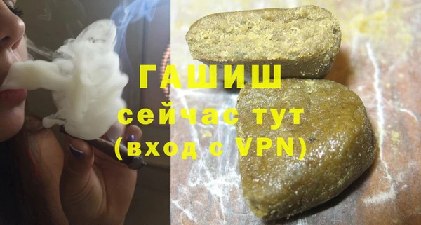 стаф Осинники