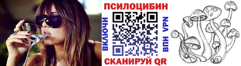 что такое   Сорск  Псилоцибиновые грибы Psilocybine cubensis 